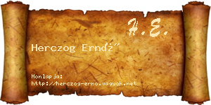Herczog Ernő névjegykártya